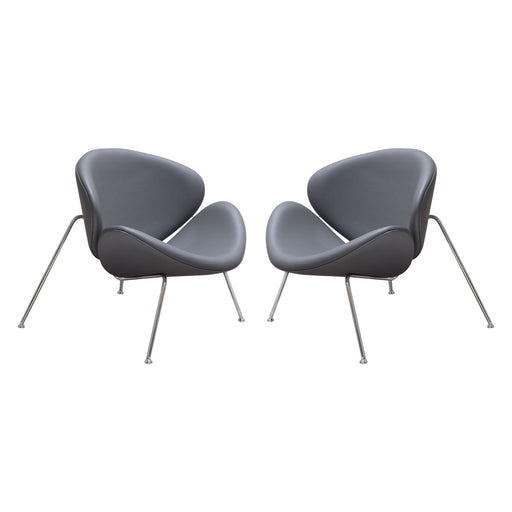 Set of (2) Roxy Accent Chair with Chrome Frame by Diamond Sofa - GREY image